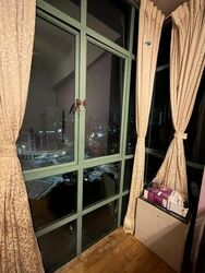Tanglin Regency (D10), Condominium #543873061